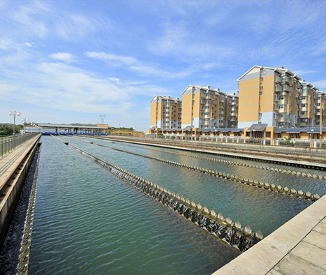 Z6��������ʱ��(�й���)�ٷ���վ