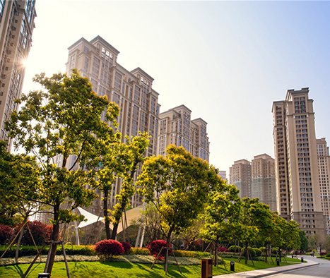 Z6��������ʱ��(�й���)�ٷ���վ