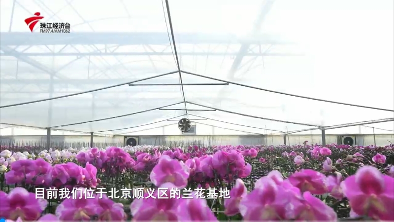 Z6��������ʱ��(�й���)�ٷ���վ