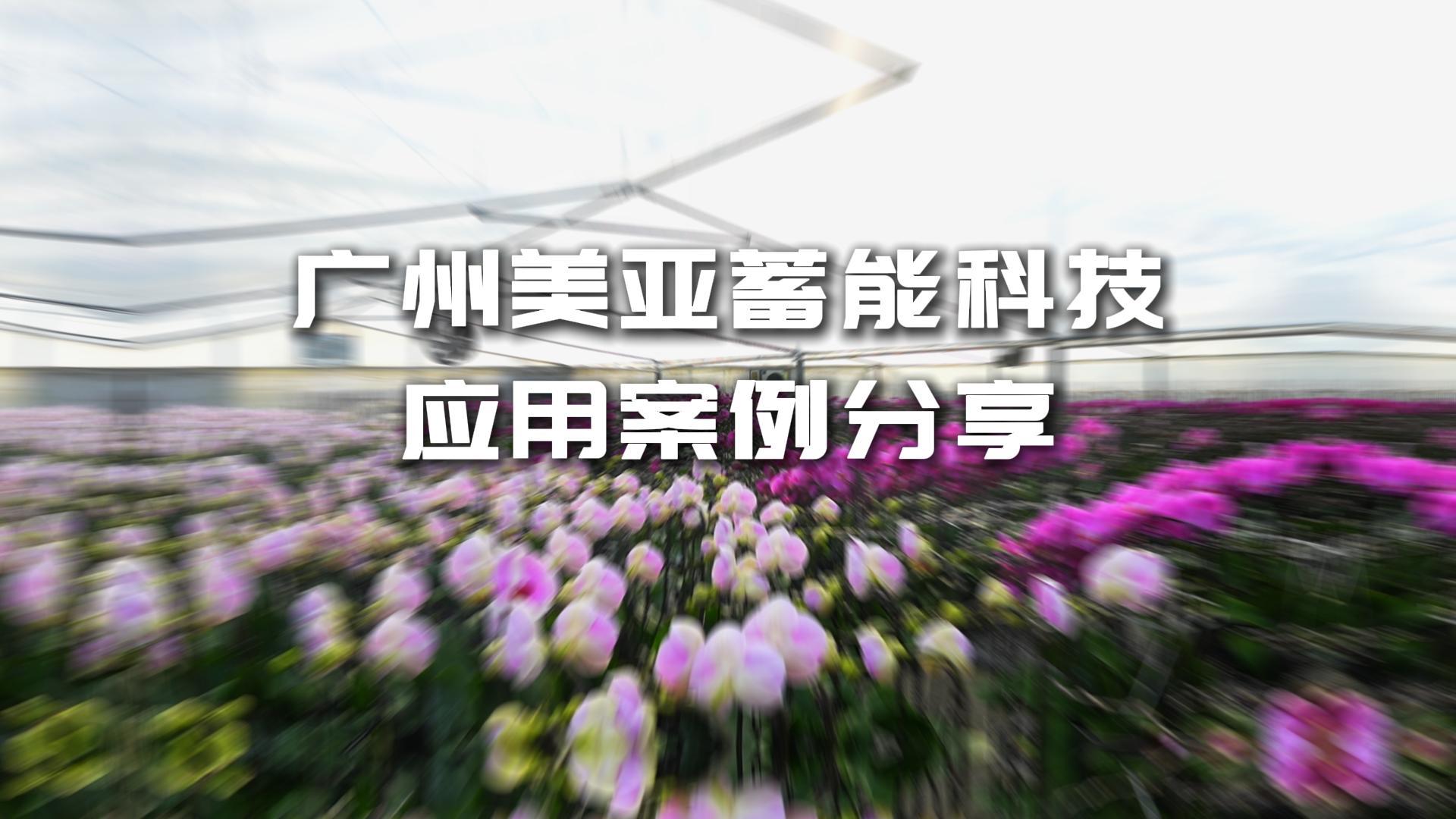 Z6��������ʱ��(�й���)�ٷ���վ