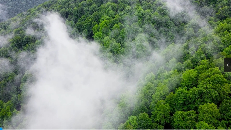 Z6��������ʱ��(�й���)�ٷ���վ