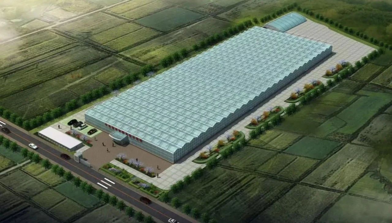 Z6��������ʱ��(�й���)�ٷ���վ