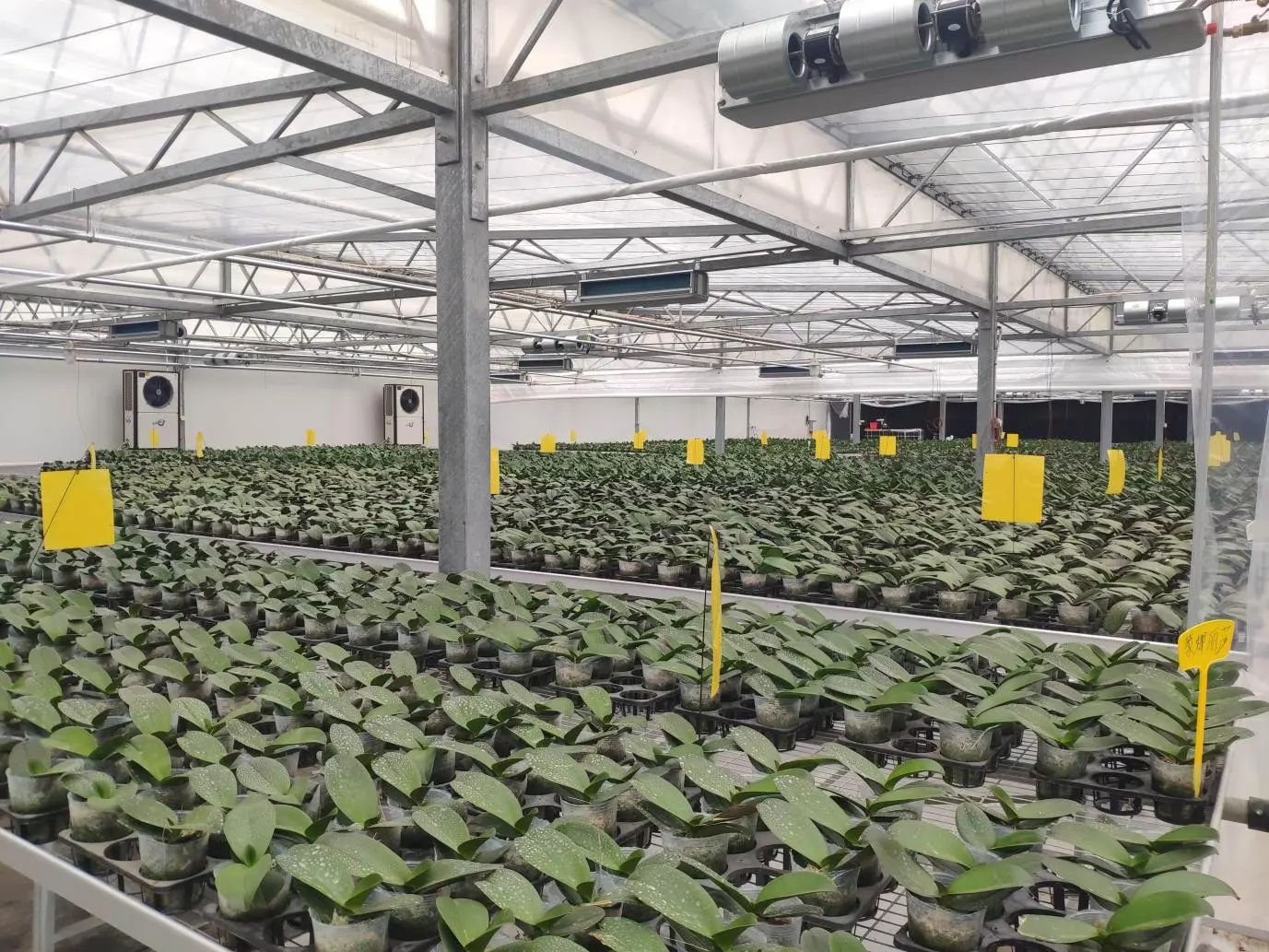 Z6��������ʱ��(�й���)�ٷ���վ