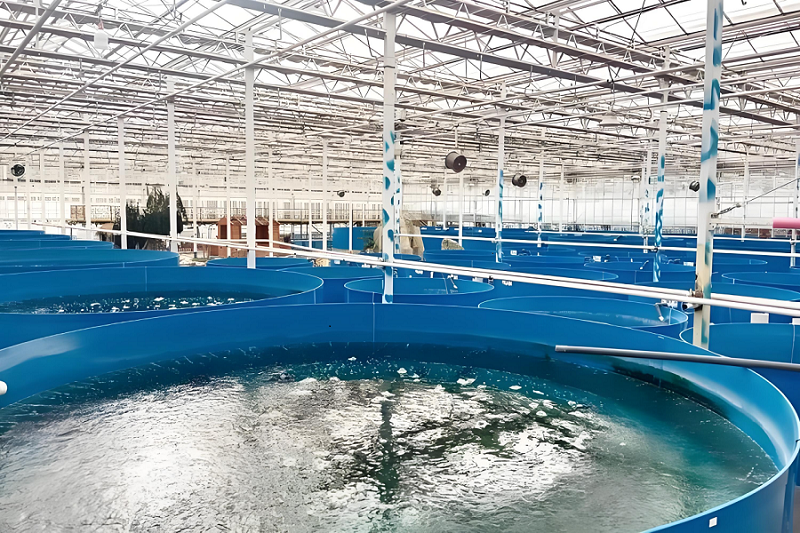 Z6��������ʱ��(�й���)�ٷ���վ