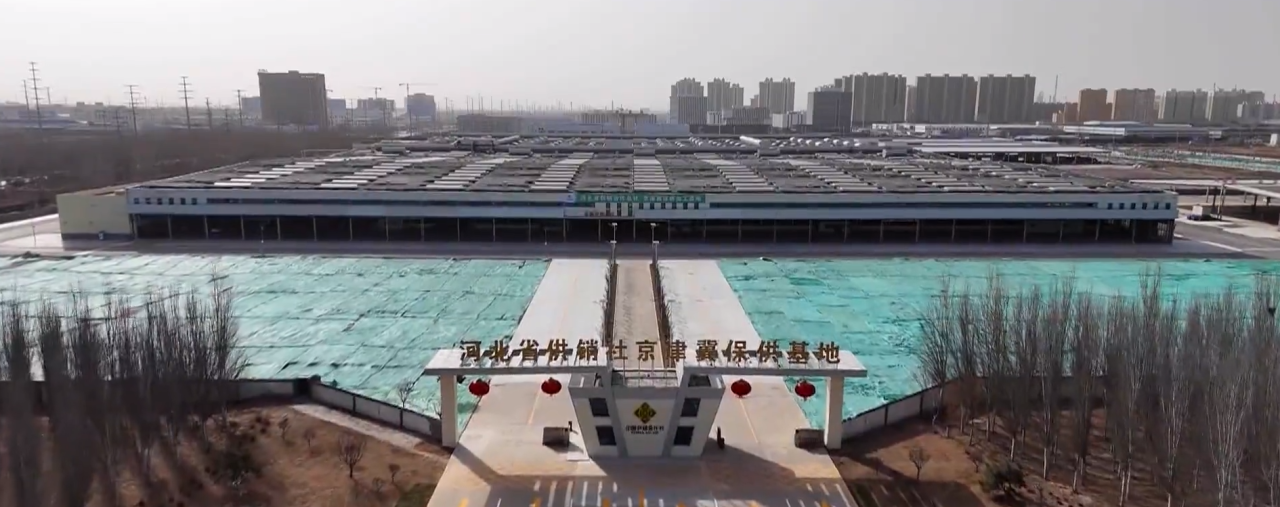 Z6��������ʱ��(�й���)�ٷ���վ