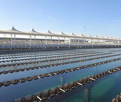 Z6��������ʱ��(�й���)�ٷ���վ