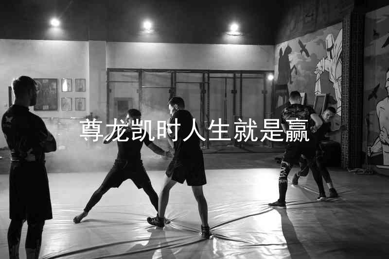 尊龙凯时人生就是赢
