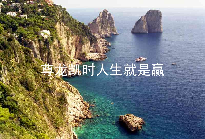尊龙凯时人生就是赢