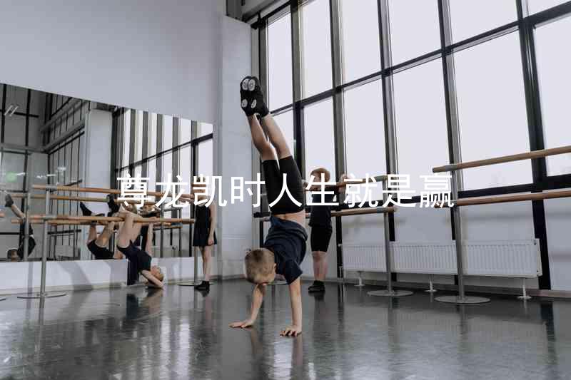 尊龙凯时人生就是赢