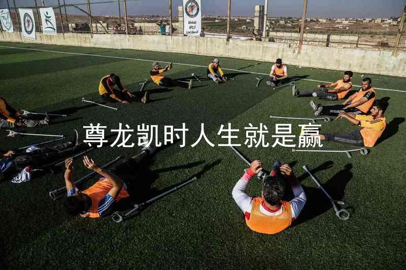 尊龙凯时人生就是赢