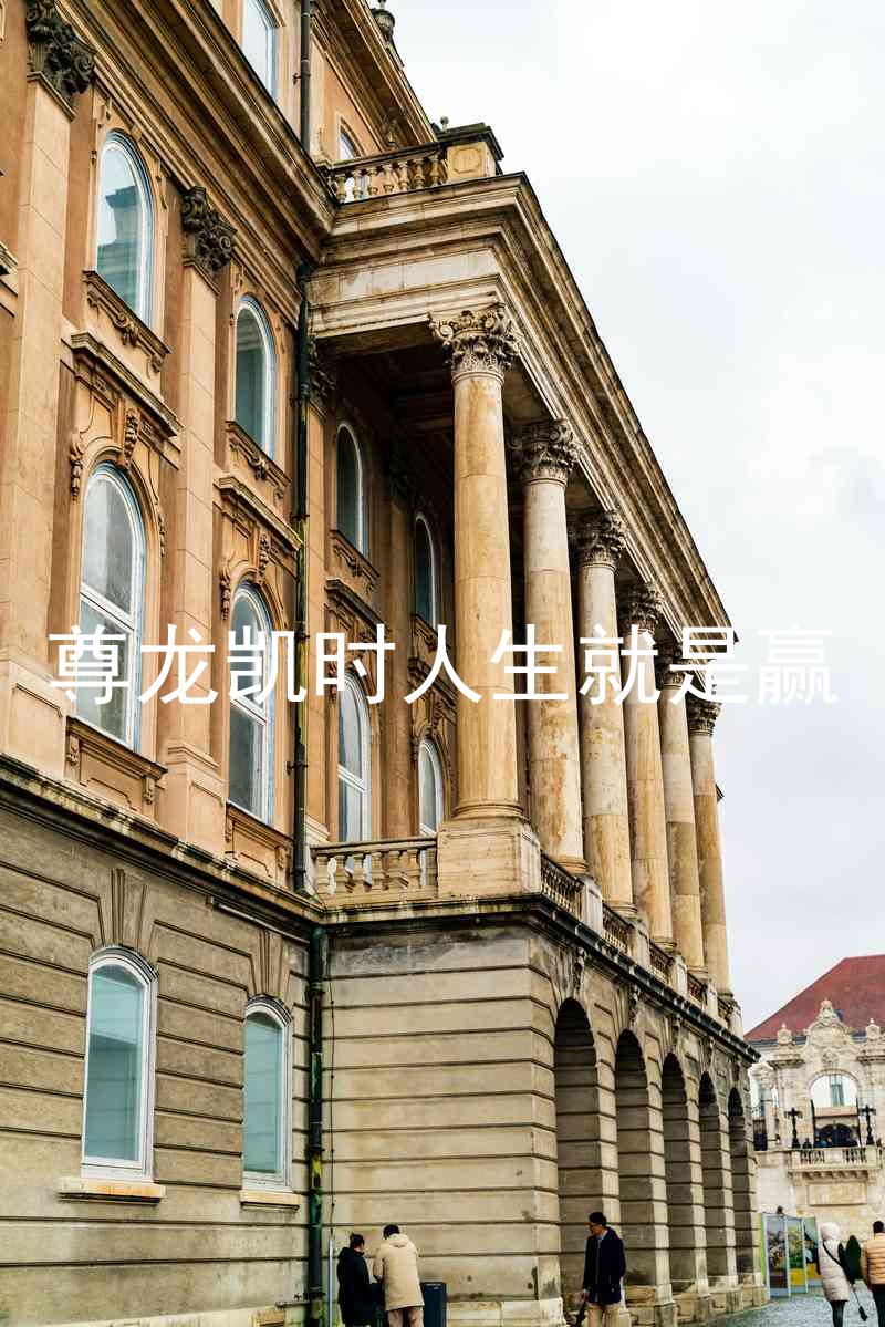 尊龙凯时人生就是赢